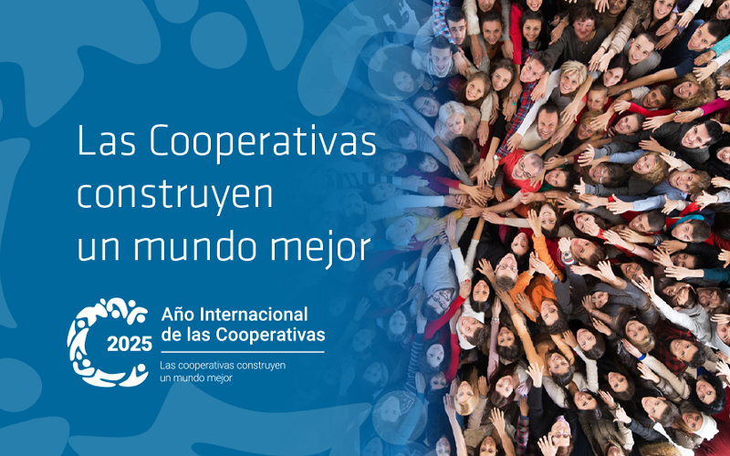 novedad coop