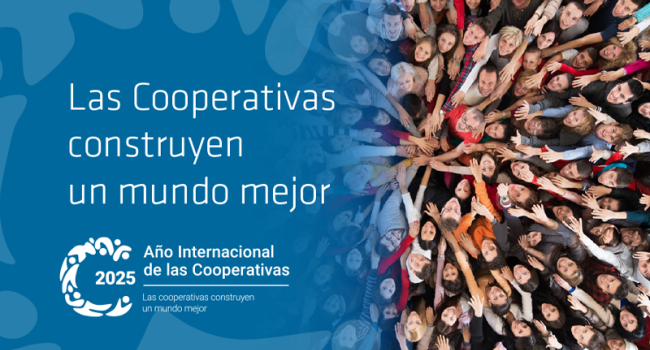 novedad coop